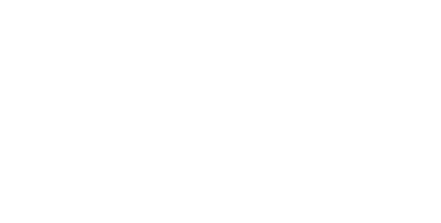Fancy Boutique